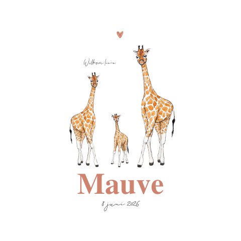 Geboortekaartje dubbel giraffe koppel met baby