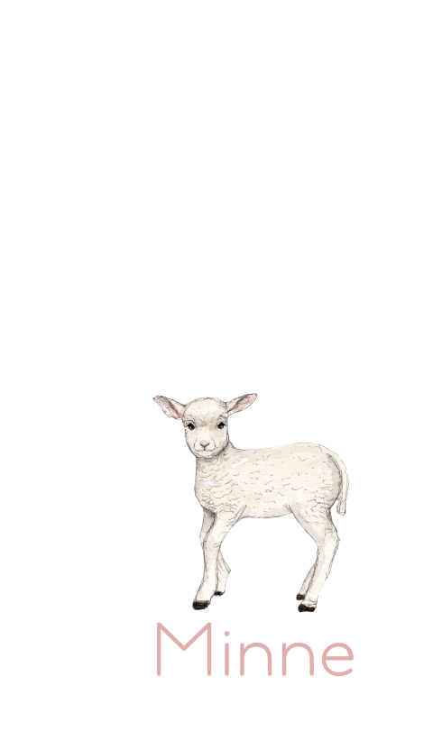 Geboortevlag lammetje