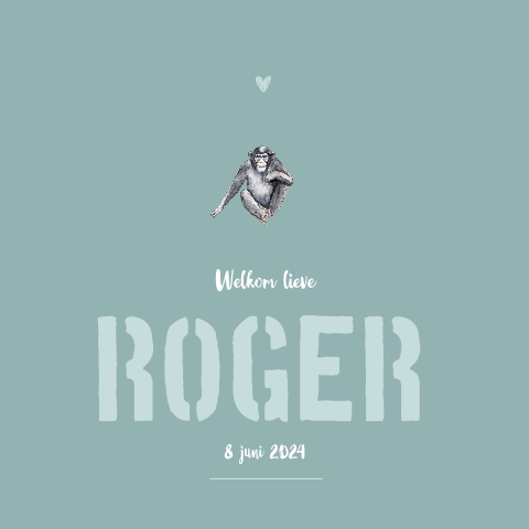 Dubbel geboortekaartje zittende aap voor een jongen