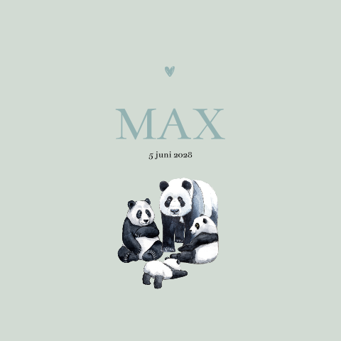 Geboortekaartje met familie panda voor een jongen