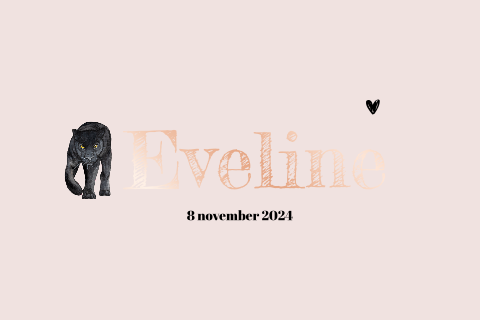 Dubbel geboortekaartje zwarte panter rosegoud folie rechthoekig meisje