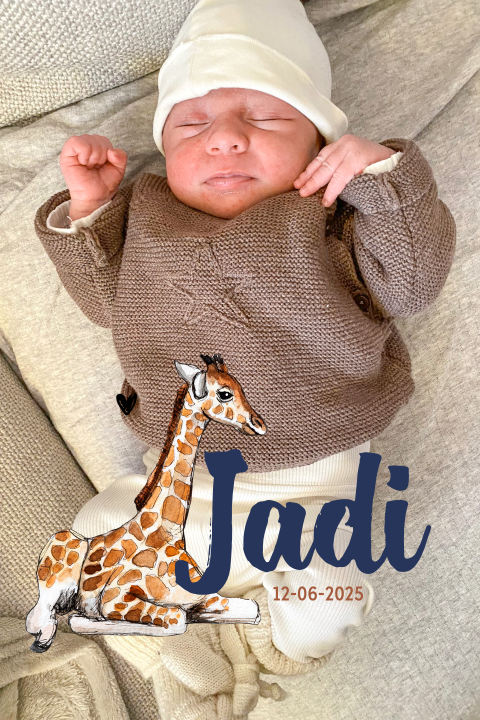 Geboortekaartje jongen met foto en baby giraffe