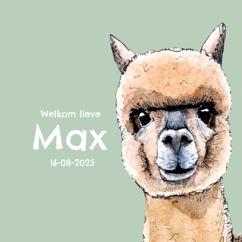 Raambord met Alpaca