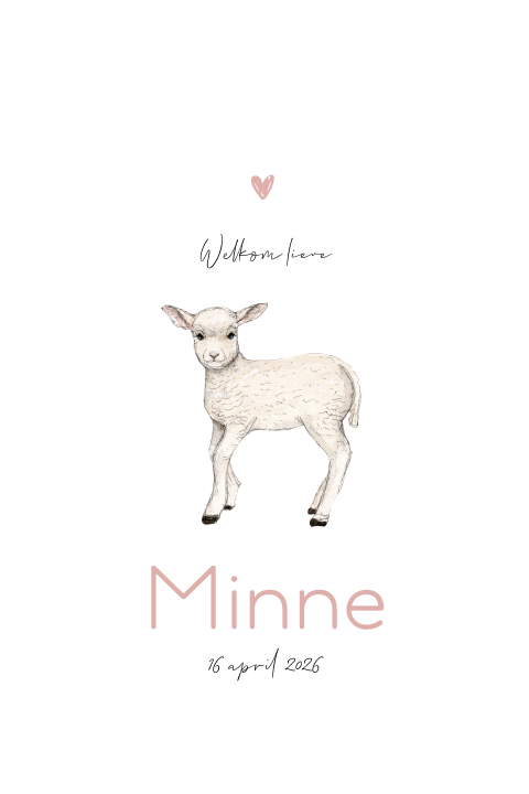 Lente geboortekaartje meisje lammetje