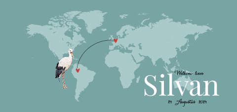 Liggend geboortekaartje jongen met wereldkaart