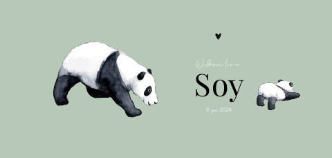 Groen geboortekaartje jongen panda liggend