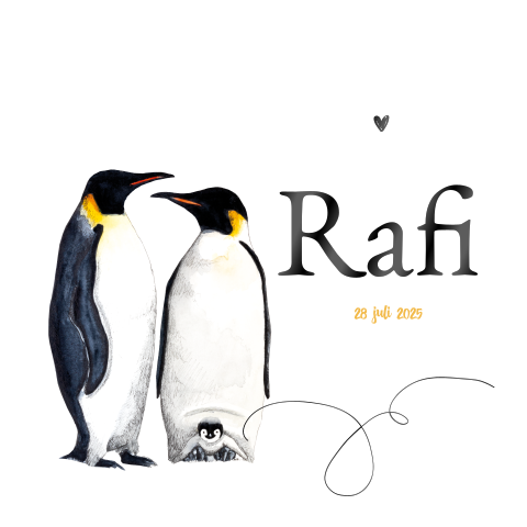 Dubbel geboortekaartje hoogglans zwart pinguins Jongen