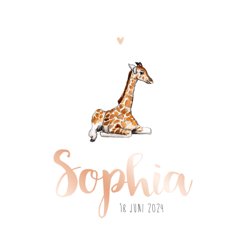 Vierkant dubbel met baby giraffe liggend Meisje