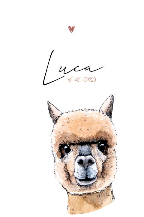 Geboortekaartje jongen stans alpaca