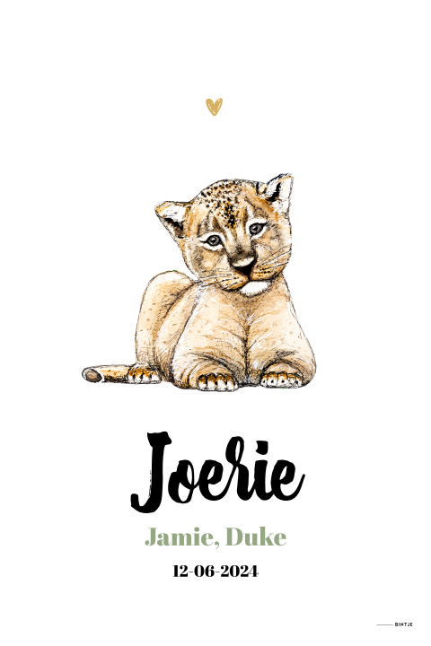 Geboorteposter met baby leeuw