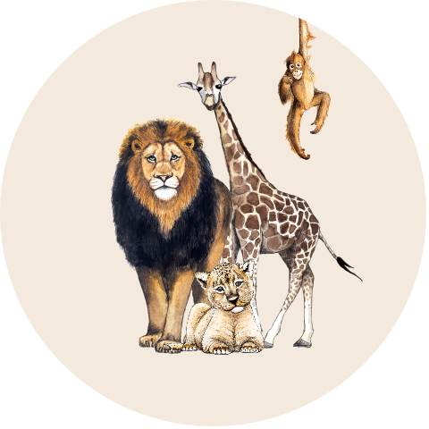 Behangcirkel Groep jungle dieren