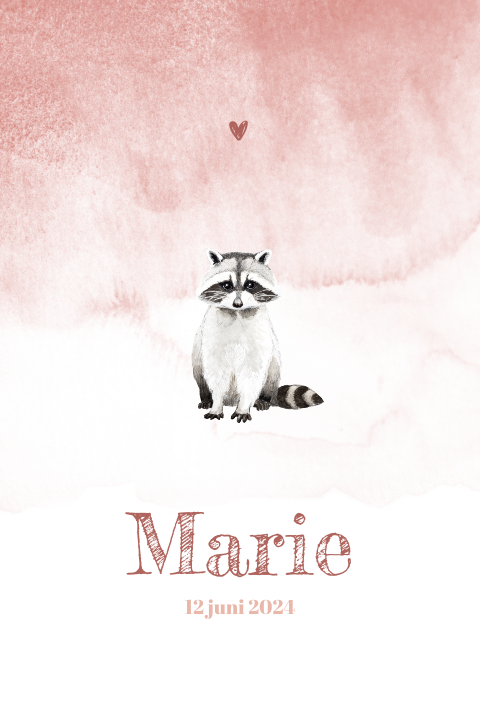 Staande enkel geboortekaartje Wasbeer Meisje