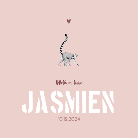 Dubbel geboortekaartje klein maki voor een meisje