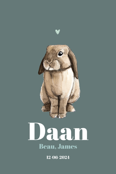 Staande enkel geboortekaartje konijn voor een jongen