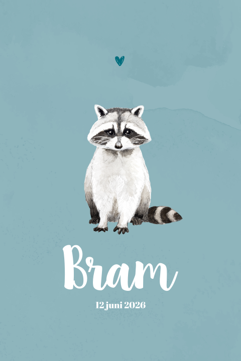 Staande enkel geboortekaartje Wasbeer Jongen