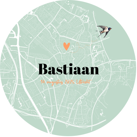 Behangcirkel met plattegrond van Utrecht