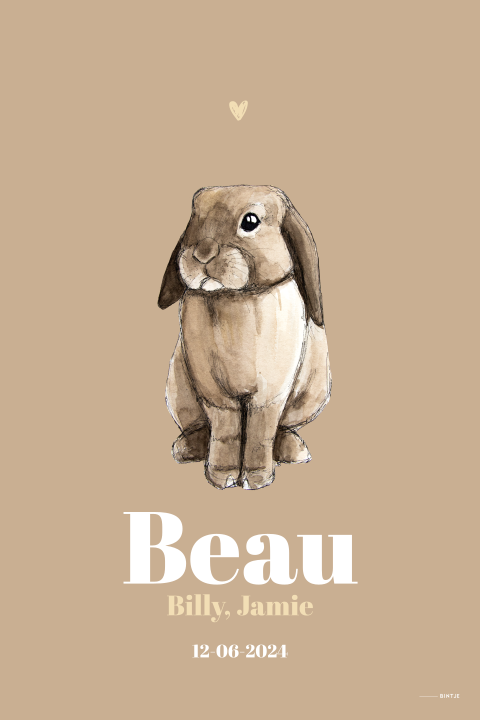 Geboorteposter met konijn