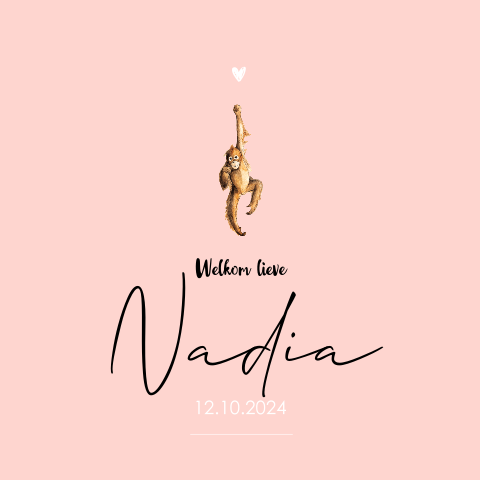 Dubbel geboortekaartje klein hangende aap voor een Meisje