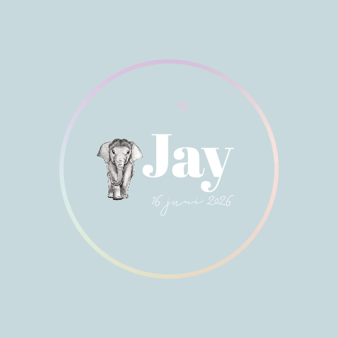 Geboortekaartje baby olifant met een baan Regenboog folie