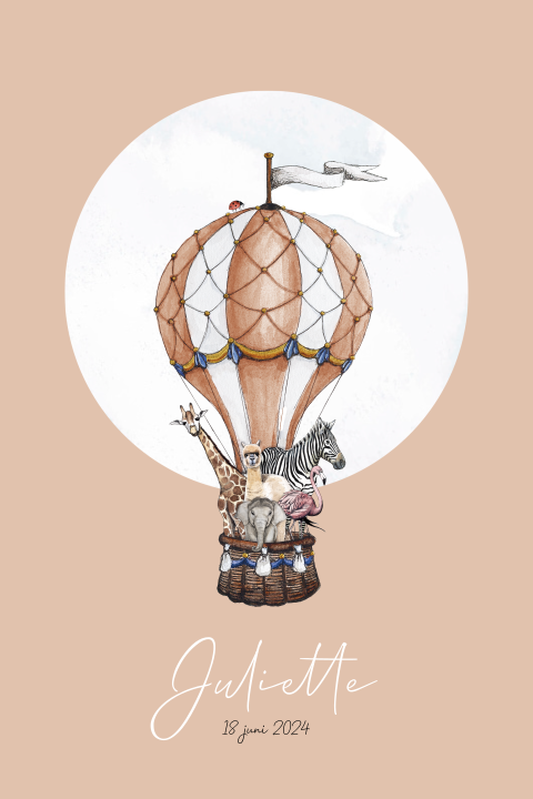 Geboortekaartje staand meisje met luchtballon