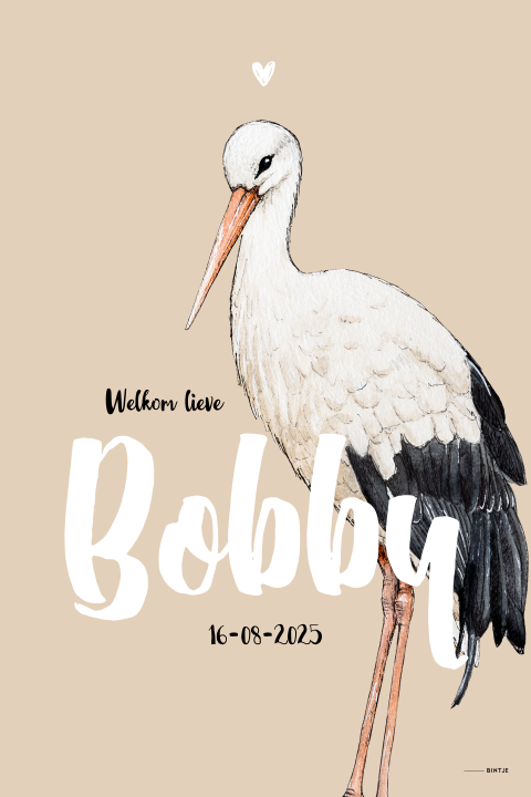 Geboorteposter met ooievaar