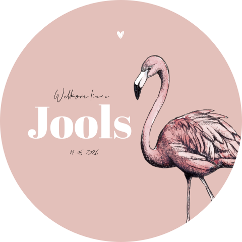 Geboortekaartje rond meisje met Flamingo