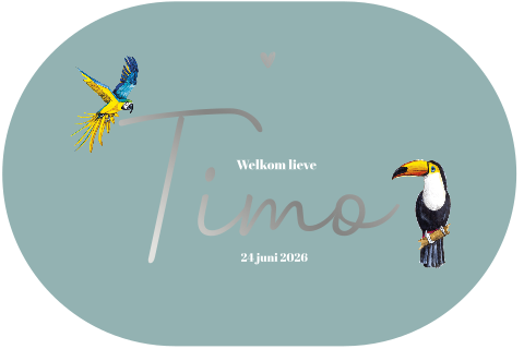 Geboortekaartje jongen met papegaai en toekan