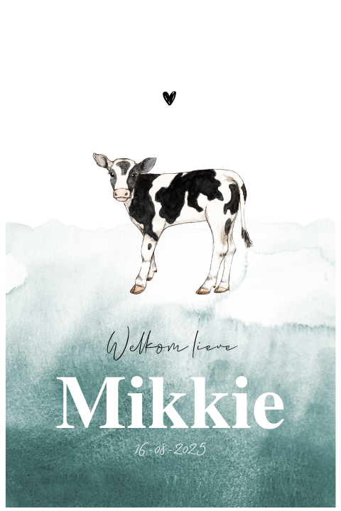 Geboortekaartje jongen vorm venster kalfje