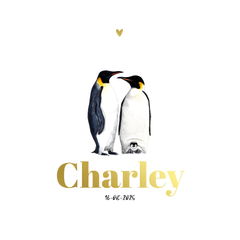 Dubbel geboortekaartje goudfolie pinguins Neutraal