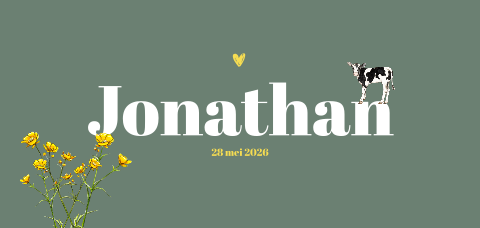 Panorama geboortekaartje kalfje