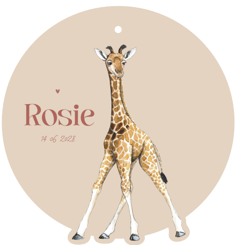Vorm geboortekaartje baby giraf