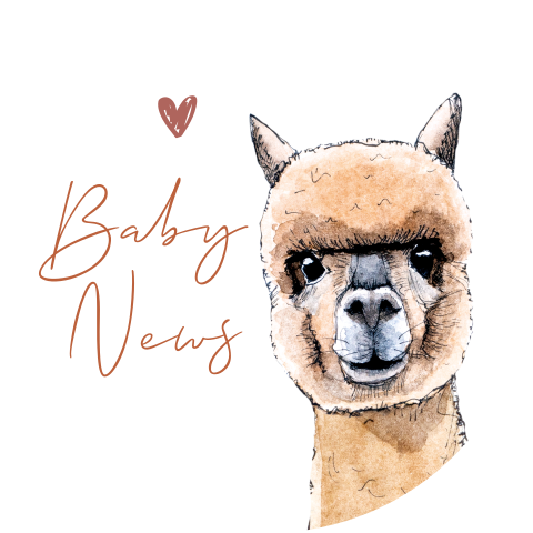 Sluitsticker Alpaca