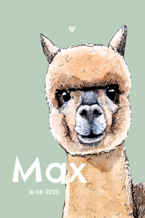 Enkel staand geboortekaartje Alpaca Jongen
