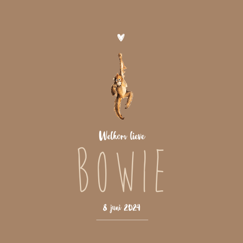 Dubbel geboortekaartje klein hangende aap voor een jongen