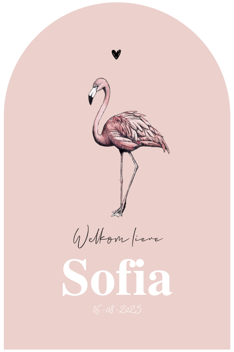 Geboortekaartje meisje vorm venster flamingo
