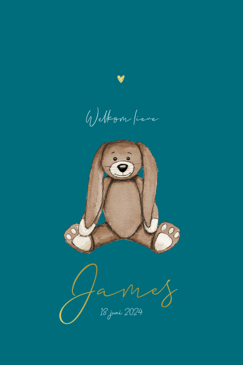 Geboortekaartje staand jongen met knuffel konijn