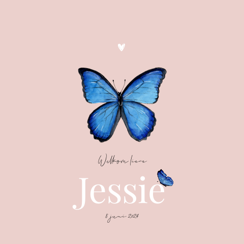 Dubbel geboortekaartje roze met vlinder voor een meisje