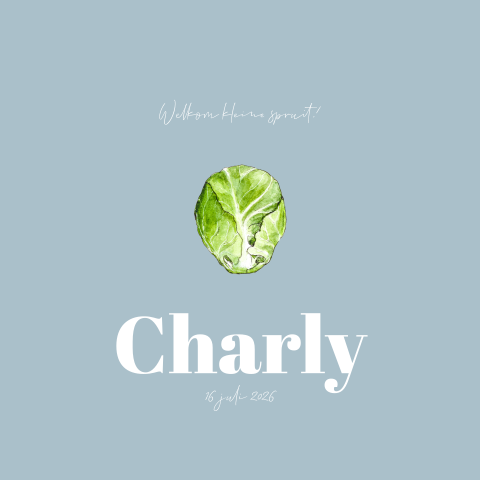 Geboortekaartje jongen met spruitje