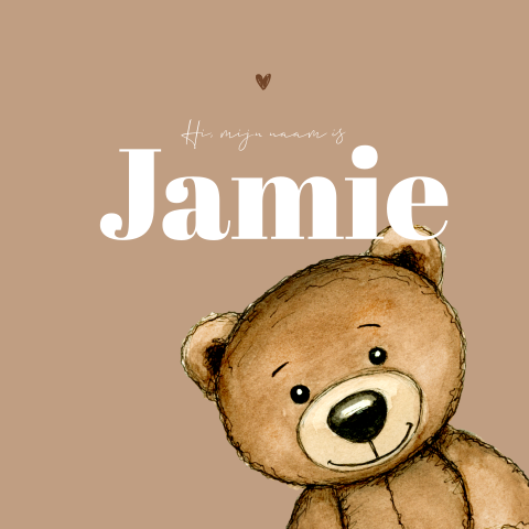 Raambord met teddybeer