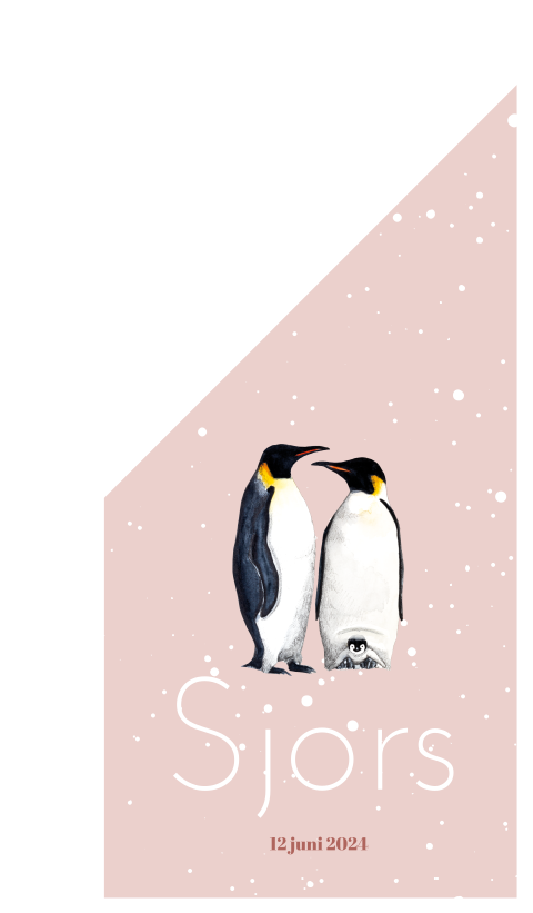 Geboortevlag pinguins