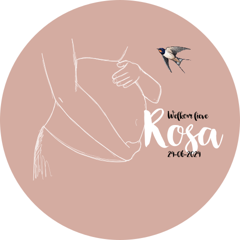 Geboortekaartje meisje rond zwangere buik