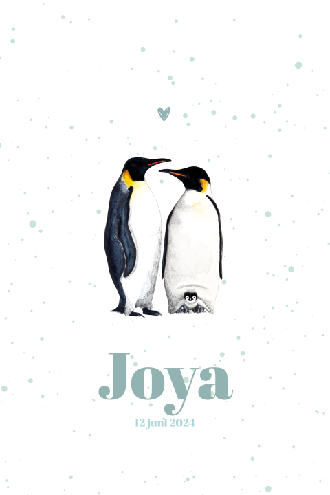 Geboortekaartje jongen sneeuw met pinguin