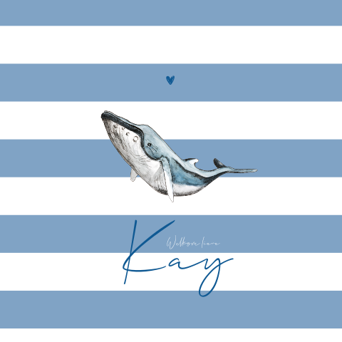 Geboortekaartje zomer jongen met walvis en strepen