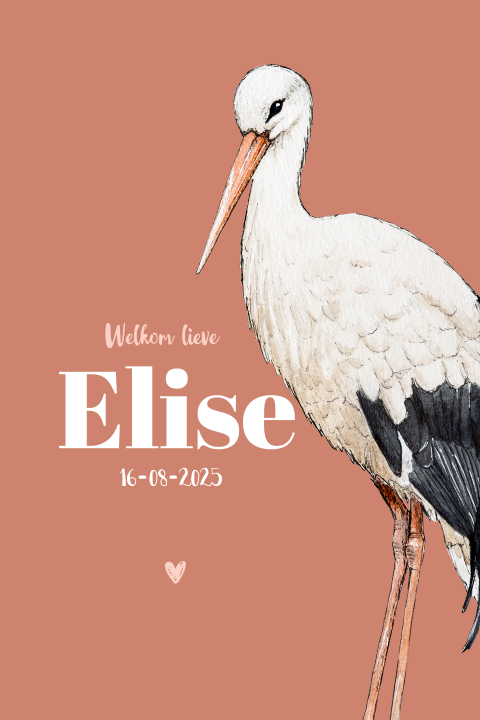 Enkel staand geboortekaartje ooievaar voor een Meisje