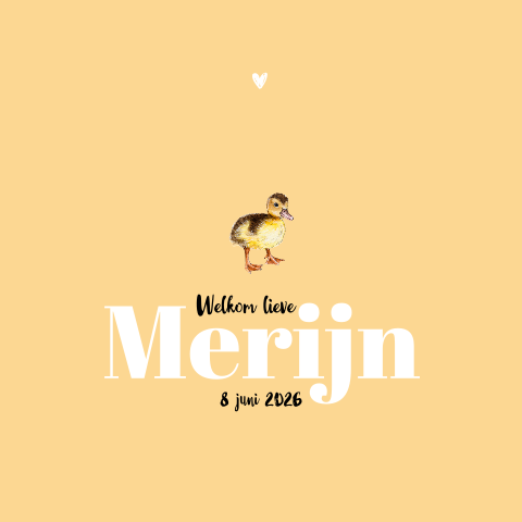 Dubbel geboortekaartje schattig eendje Neutraal