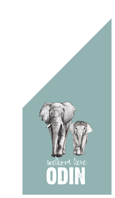 Geboortevlag olifant