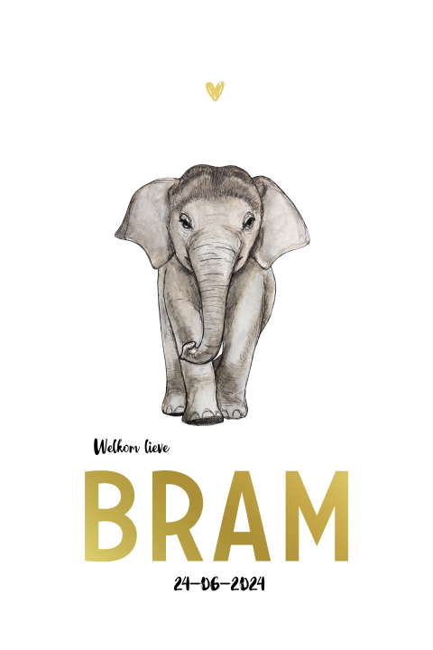 Enkel geboortekaartje baby olifant goudfolie voor een Jongen