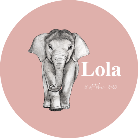Behangcirkel Roze baby olifant