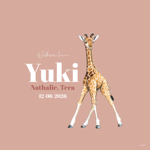 Raambord baby giraffe
