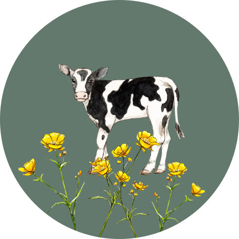 Sluitsticker kalfje groen